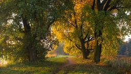 Raszyn Hotels