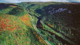 Find cheap flights from Colombia to Ontario