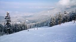 Bansko car rentals