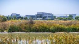 Sunnyvale car rentals