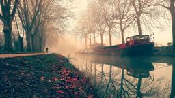 Find cheap flights from Toronto to Toulouse