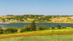 Cavendish vacation rentals