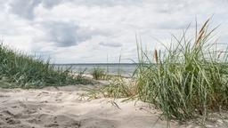 Pinneberg car rentals
