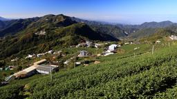 Alishan Hotels