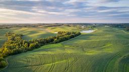Find cheap flights from Toronto Pearson Intl to Missouri