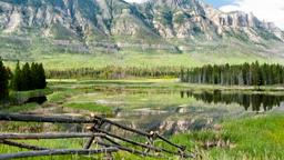 Find cheap flights from Montreal to Wyoming