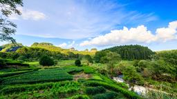 Hotels near Wuyishan airport