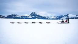 Find cheap flights from Fort St. John to Alaska