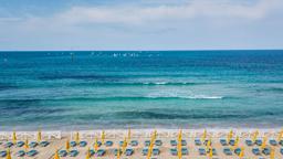 Find cheap flights from Alberta to Palermo