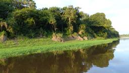 Amazonas vacation rentals