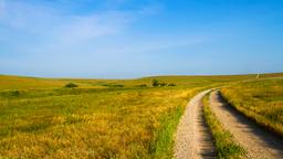 Find cheap flights from Alberta to Kansas