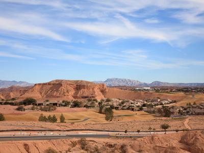 Mesquite