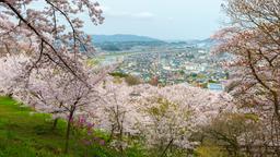 Shibata Hotels
