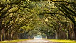 Find cheap flights from Calgary to Savannah
