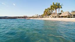 Find cheap flights from Toronto Pearson Intl to La Paz