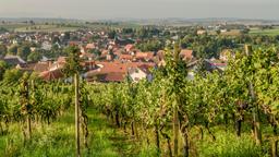 Sinsheim Hotels