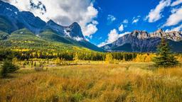 Find cheap flights from Chisinau to Canada