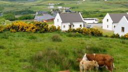Limerick Hotels
