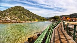 Find cheap flights to Florianopolis