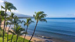 Find cheap flights from Victoria to Maui