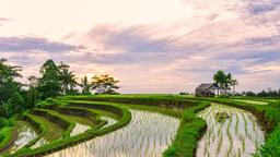 Tabanan Hotels