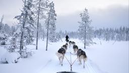 Hotels near Kuusamo airport