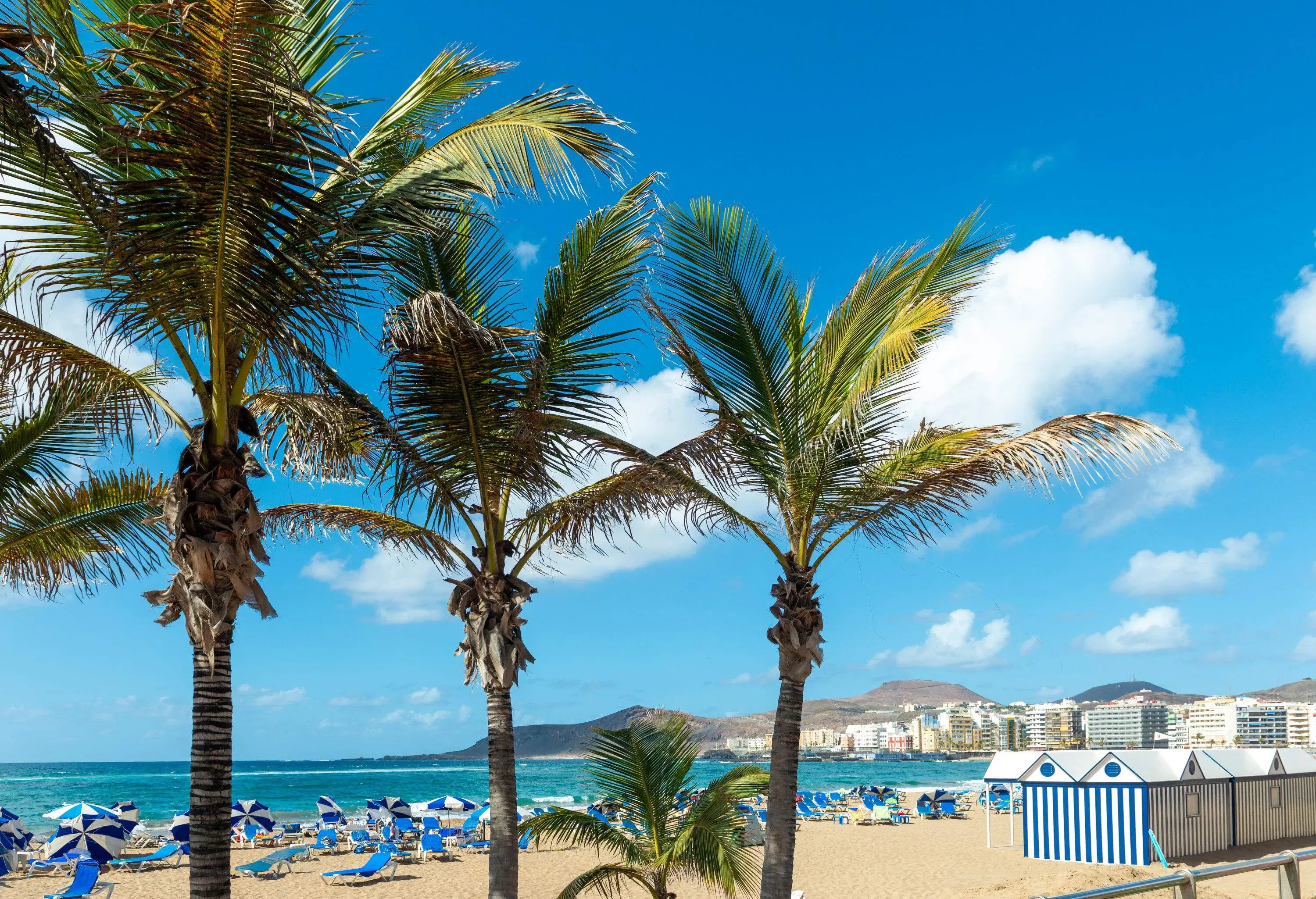 Promenade of Las Canteras Beach (Playa de Las Canteras) in Las Palmas de Gran Canaria, Canary island, Spain. 3km stretch of golden sand is the heart of Las Palmas. One of the top Urban Beaches.