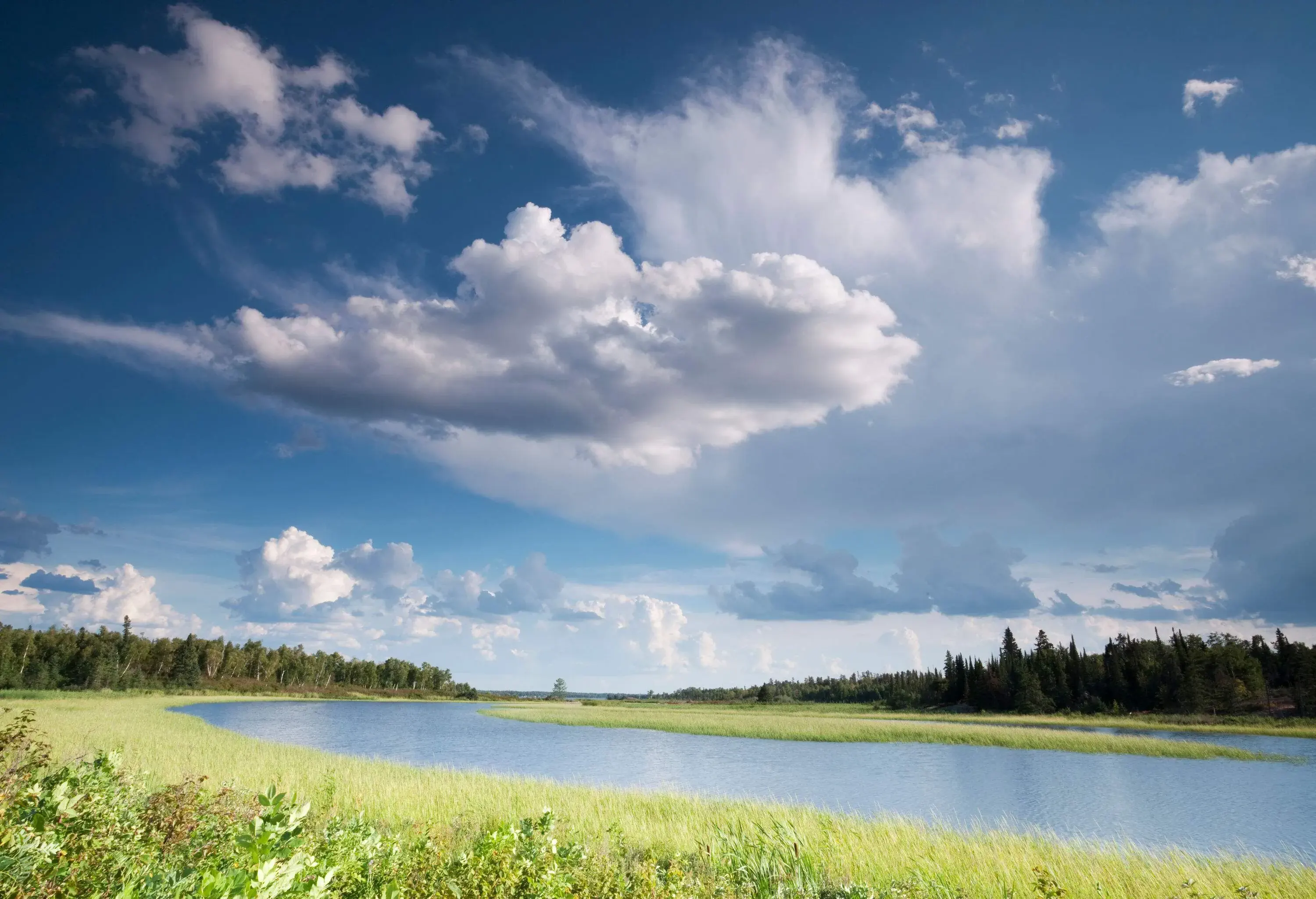 A lake in the middle of meadow land with tall green trees against the cloudy blue sky.