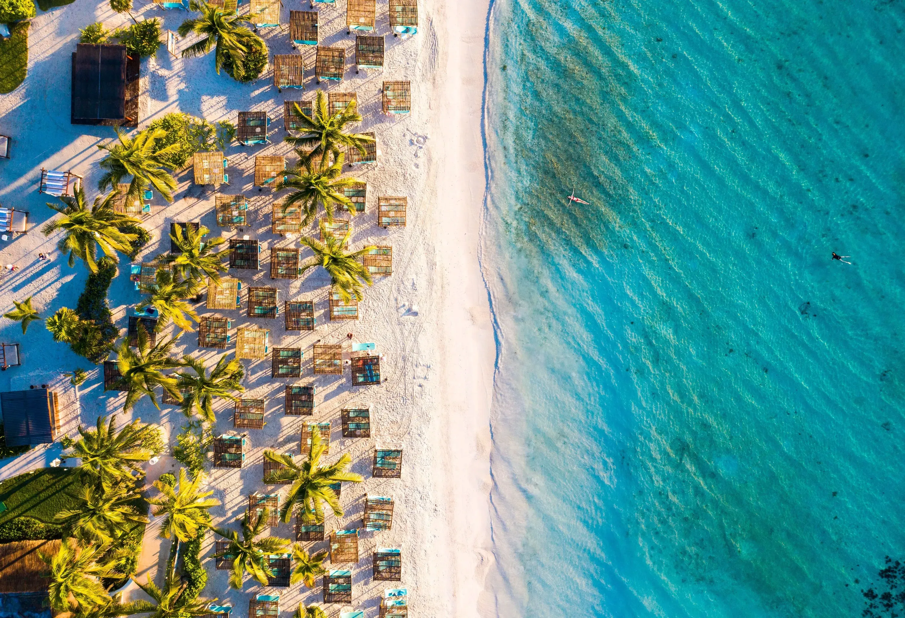 A stunning white sand beach with crystal clear water, palm trees, and cabanas is visible in the background.
