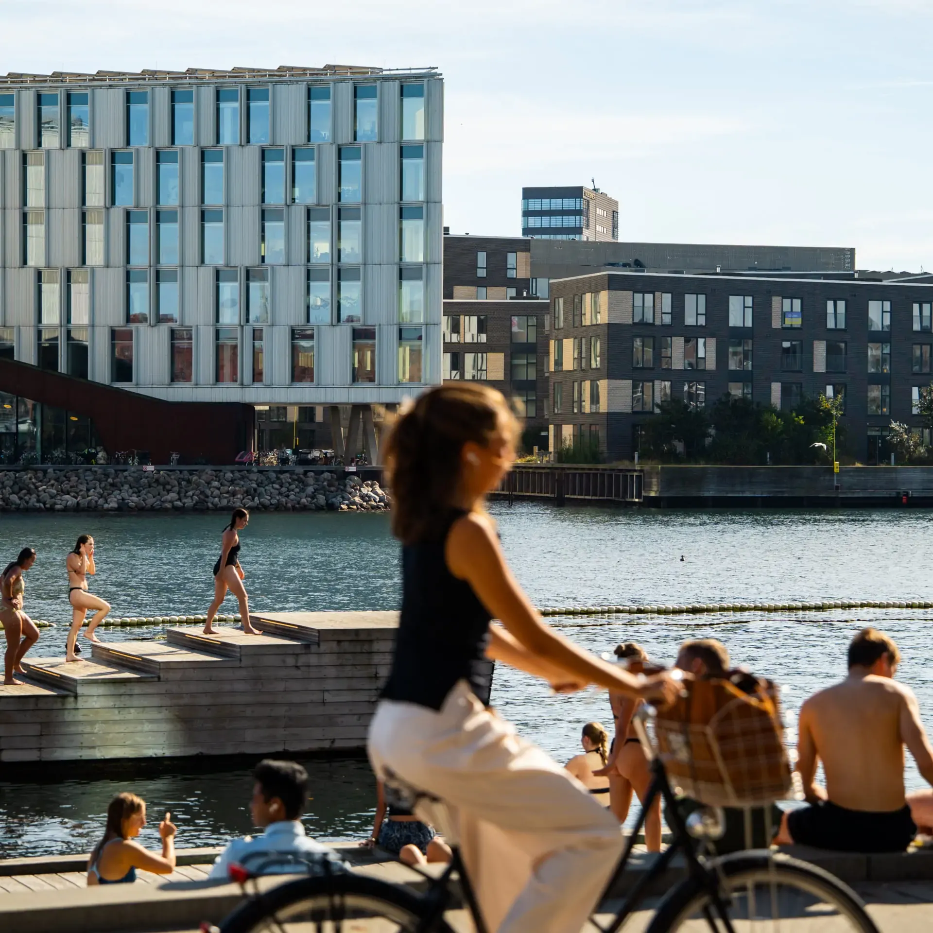 People swimming and cycling at a sunny urban waterfront with modern buildings.