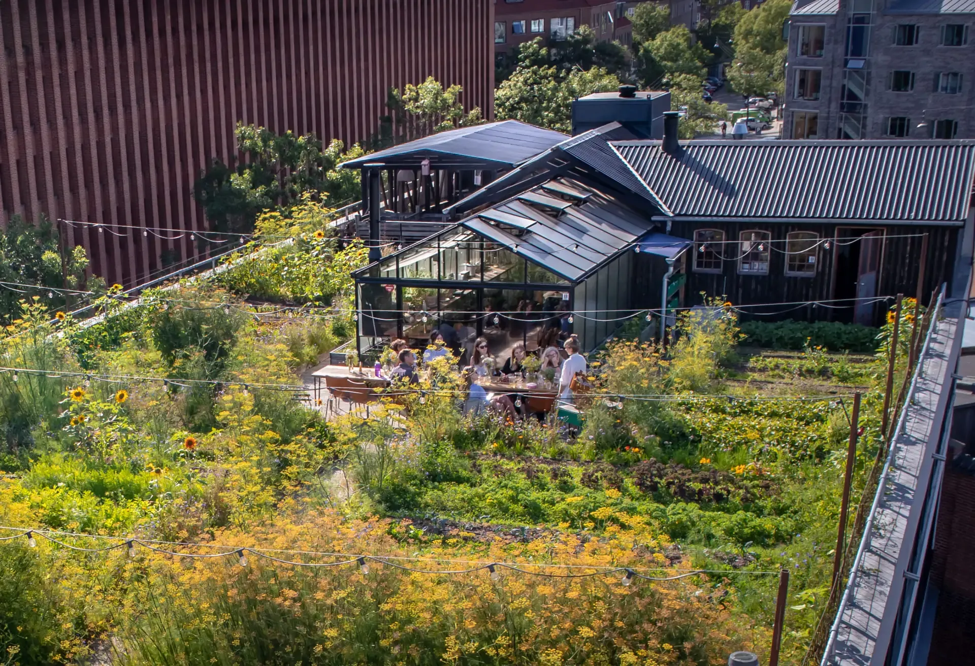 People dining at ØsterGRO, a lush rooftop farm and greenhouse overlooking Copenhagen.