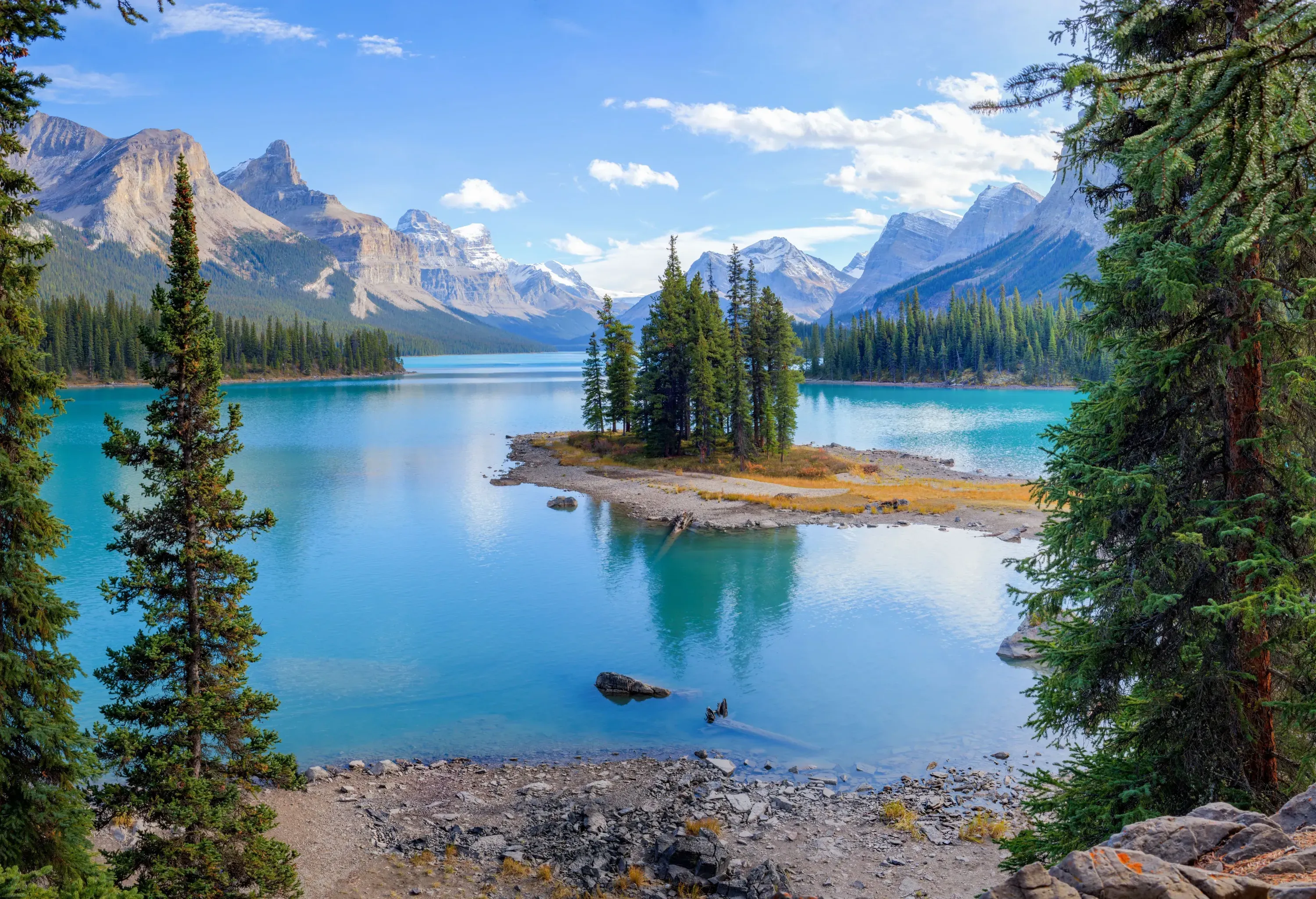 A picturesque lake with clear, bright blue water surrounded by tall bushes and snowy peaks against the sky.