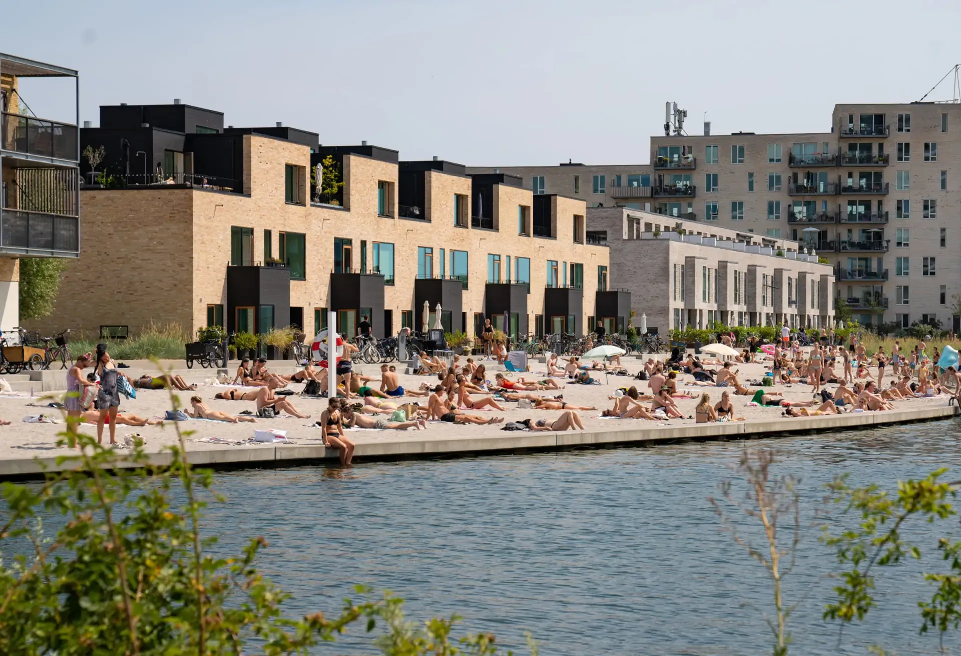 People sunbathing on an urban waterfront in front of modern residential buildings.