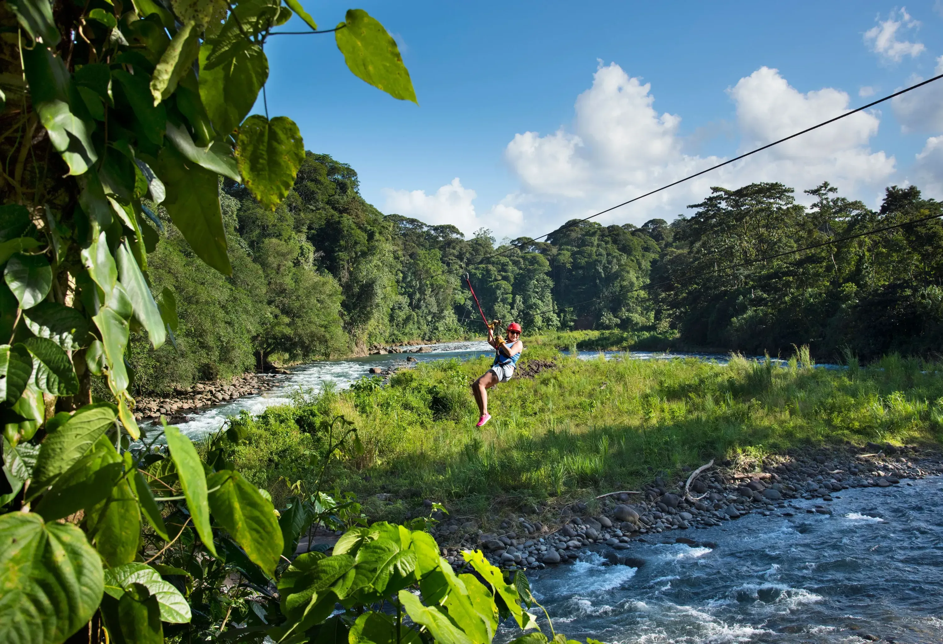 A woman ziplining through the woods across a shallow river.