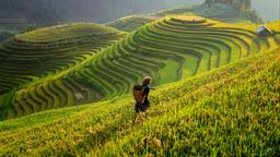 Find cheap flights to Vietnam