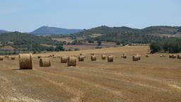 Sant Boi de Llobregat car rentals