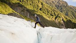 Find cheap flights from Abbotsford to New Zealand