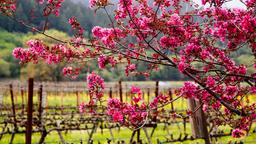 Hotels near Napa County airport