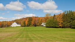 Saint Albans Hotels