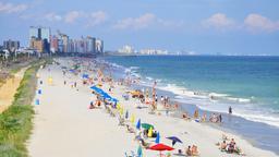 Find cheap flights from Plattsburgh to Myrtle Beach