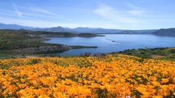 Hemet car rentals