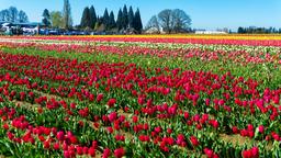 Woodburn Hotels