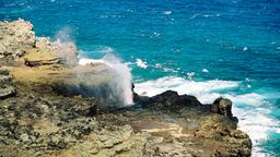 Lahaina car rentals