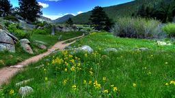 Rocky Mountain National Park vacation rentals