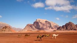 Wadi Rum hotel directory