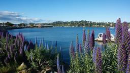 Sausalito Hotels