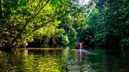 Tortuguero Hotels