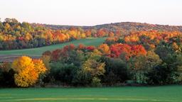 Braintree car rentals
