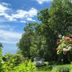 Outdoors view