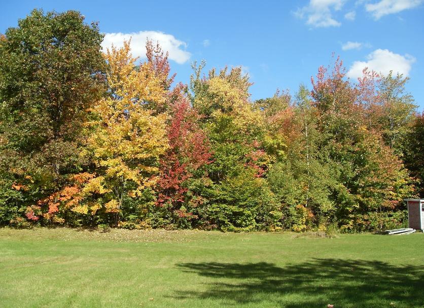 Outdoors view Photo